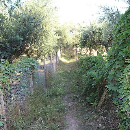 Apartamento Anastassia Og
