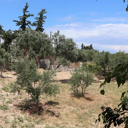 Anastassia Og * Koroni (Messinia)