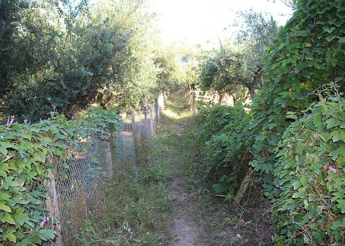 Apartamento Anastassia Og